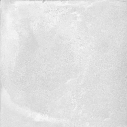 Керамический гранит Форс-Р 1 600х600х9 светло-серый