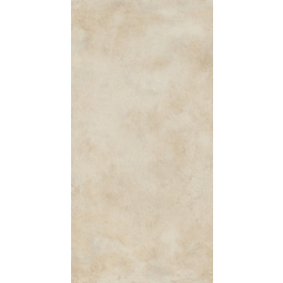 610010001457 Керамический гранит Миллениум Даст 600х1200   