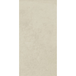 610010001929 Керамический гранит Терравива Мун 450х900  