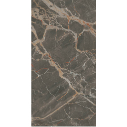 610010002329 Керамический гранит Помпеи 450х900 браун
