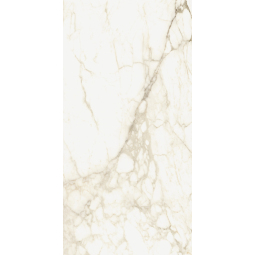 610010002745 Керамический гранит Микеланджело 600х1200 ворм 