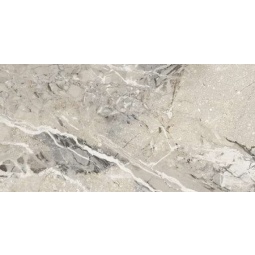 6260-0195 Керамический гранит Шварц 300х600 серый