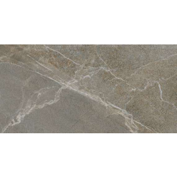 6260-0227 Керамический гранит Диккенс 300х600 бежево-коричневый