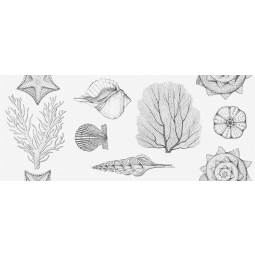 010100001536 Плитка облицовочная Aqua 250х600 white 01