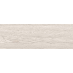 010400001347 Керамический гранит Baltika 200х600 grey 01