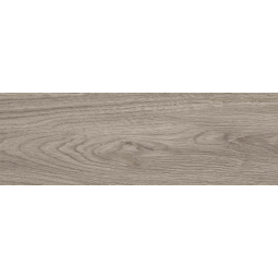 010400001349 Керамический гранит Baltika 200х600 grey 02 