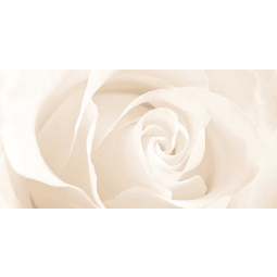 EC2C011DT-36 Вставка Effecta 298х598 бежевый  