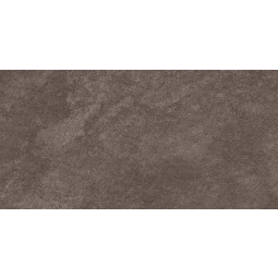 16322 Керамический гранит Orion 297х598 коричневый
