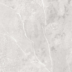 Керамический гранит ELIGIA SILVER 600x600 glossy 