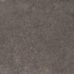 Керамический гранит Флокк-Р 4 600х600 коричневый