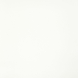 GTF400M Керамический гранит 600х600 зимний белый