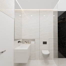 Айс Оникс / Ice Onyx