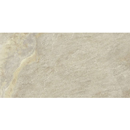 610010000692 Керамический гранит Манетик Дезерт Беж 300х600  