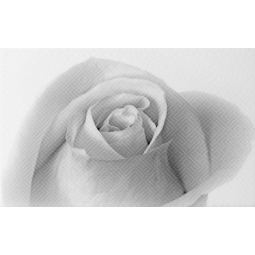 010301001884 Декор Камелия 250х400 чёрный 01