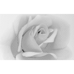 010301001885 Декор Камелия 250х400 чёрный 02