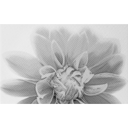 010301001886 Декор Камелия 250х400 чёрный 03