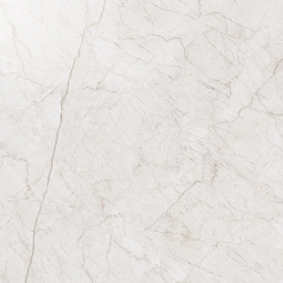 610015000254 Керамический гранит Контемпора Пур 600х600 Пат. 