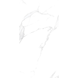 Керамический гранит ORLANDO BIANCO 600x1200х8,8 authentic