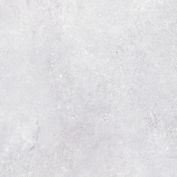 010403001291 Керамический гранит Olezia 600х600 grey light 01