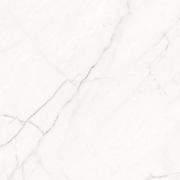 010400001461 Керамический гранит Opera 600х600х9 white PG 01