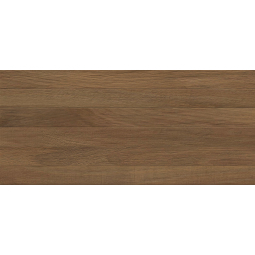 010100000420 Плитка облицовочная Quarta 250х600 brown 04