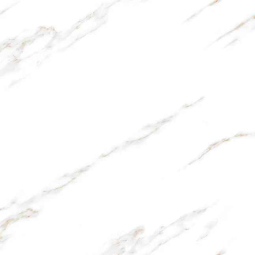 Керамический гранит RS RADIAL STATUARIO 600x600 carvin 