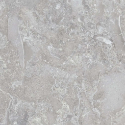 Керамический гранит Рэй-Р 1 600х600х9 светло-серый