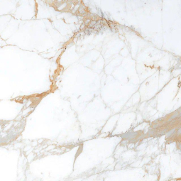 Керамический гранит ROMAN BROWN 600x600 glossy 