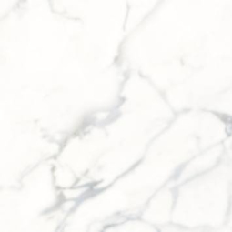 Керамический гранит RS 1022 600x600 carvin