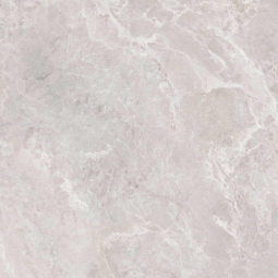010400001459 Керамический гранит Shell 600х600х9 beige PG 01 