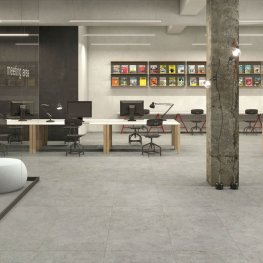 Скайлайн х2 / Skyline X2