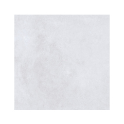 SN0H05M01 Керамический гранит Silent 600x600 light grey 