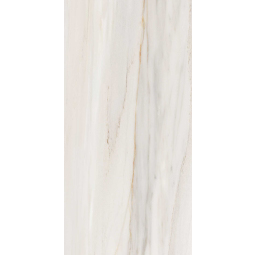 Керамический гранит Стим-Р 600х1200 светло-серый 