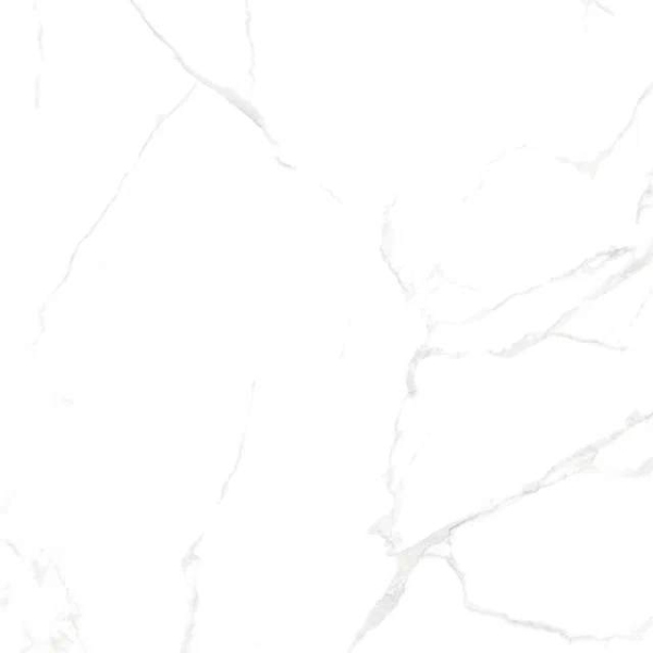 Керамический гранит RS 143 600x600 carvin 