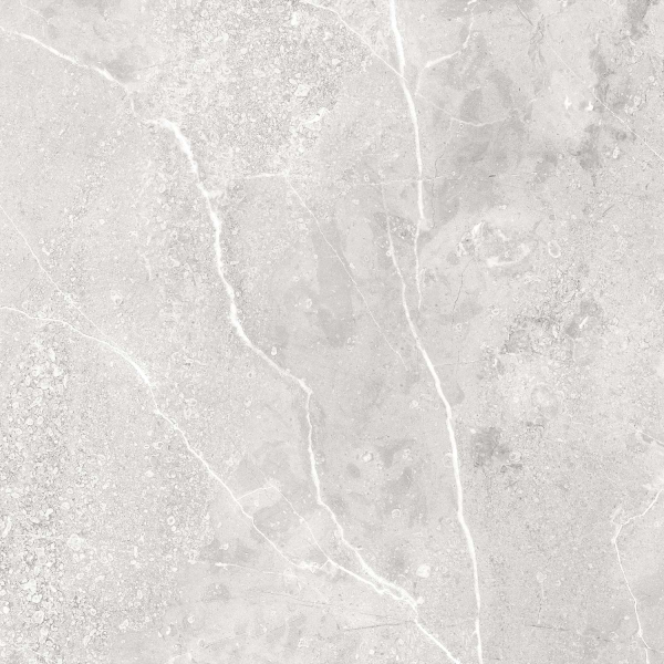 Керамический гранит ELIGIA SILVER 600x600 glossy 